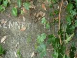 image of grave number 155713